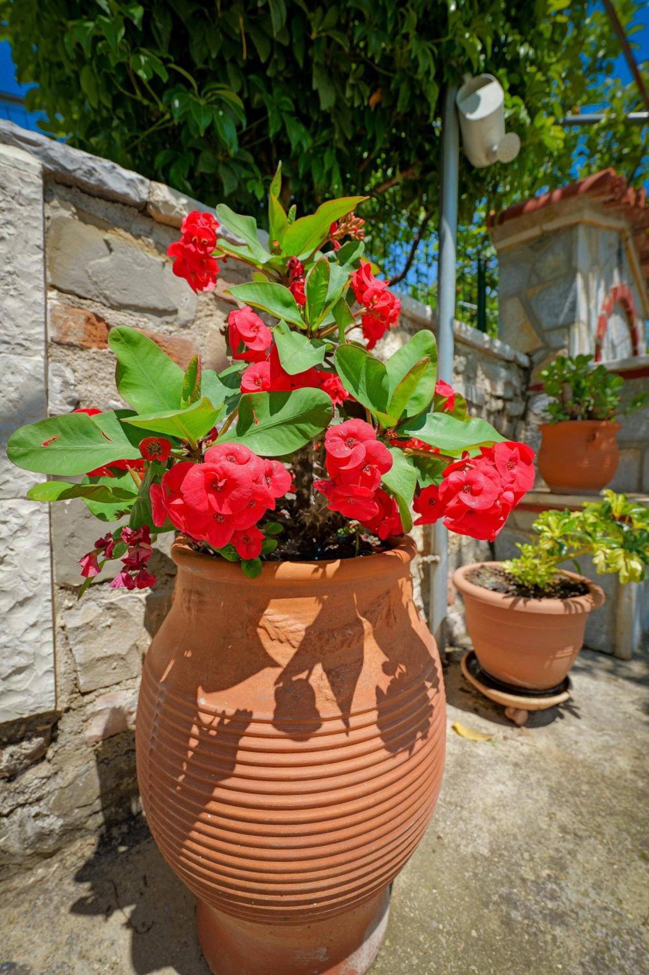 מלון Mesopotam Shena The Farm Boutique מראה חיצוני תמונה